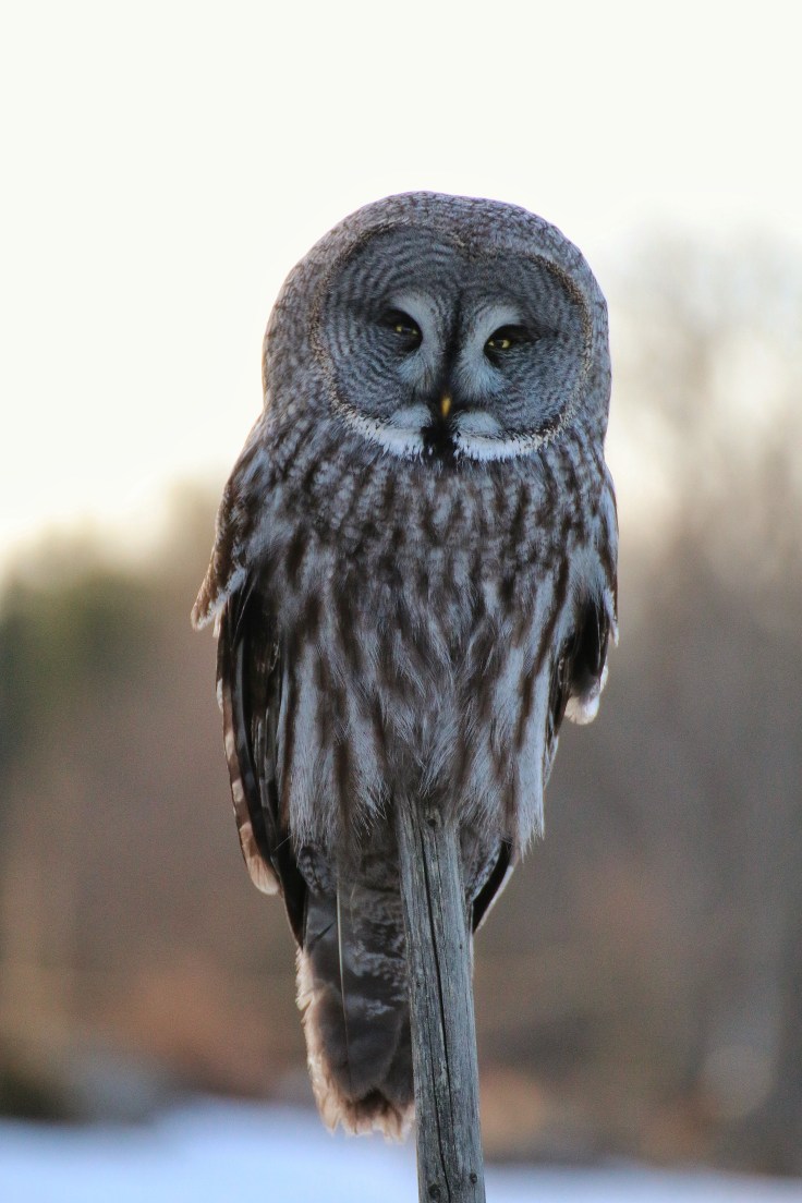 2258086010892550853_img_0117