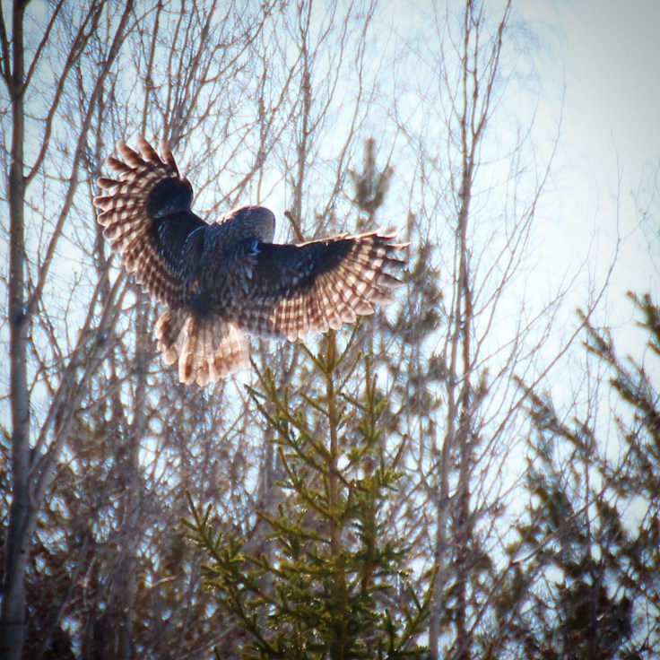 2eef0456-e510-4362-bbe3-cb71f6fd40ad