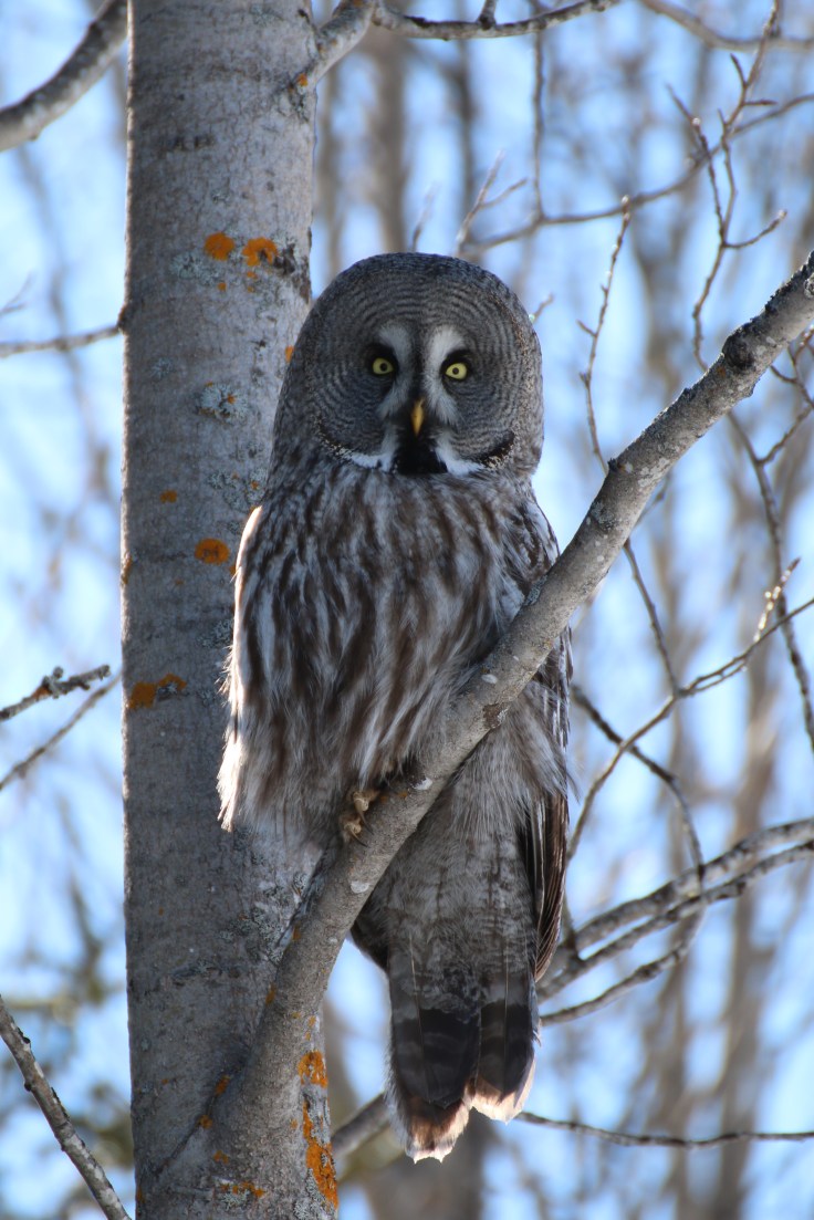 -658245738953386916_img_0035-1