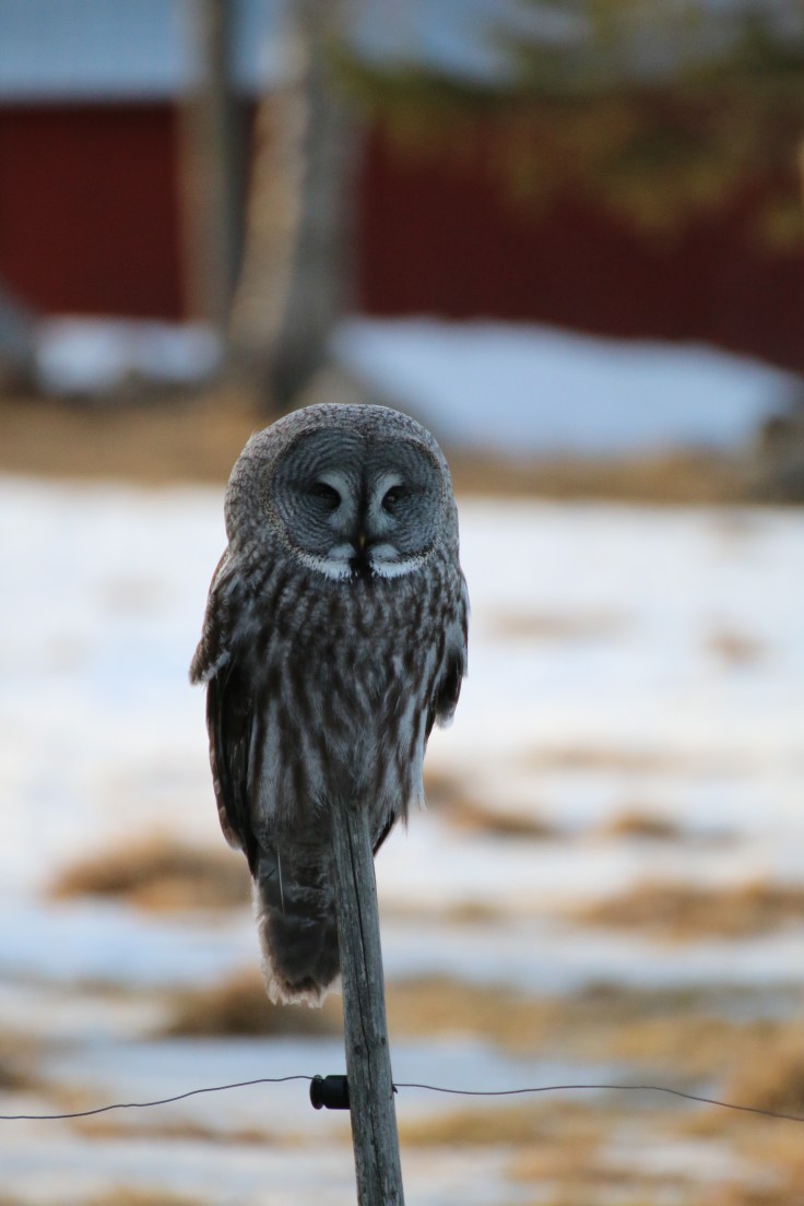 992657829683884790_img_0076