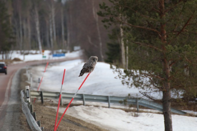 1504517949491622822_img_0061