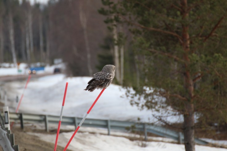 8285466945173542107_img_0064